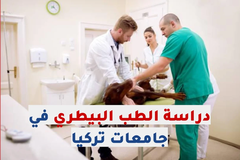 دراسة الطب البيطري في تركيا
