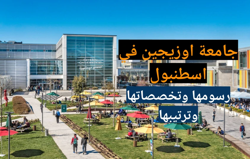 جامعة اوزيجين منحة تخصصات رسوم ترتيب