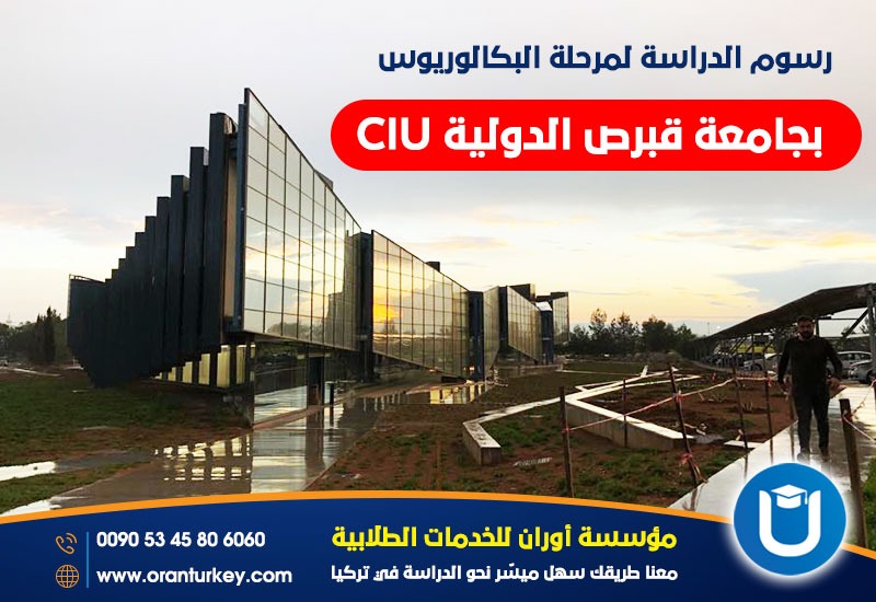 جامعة قبرص الدولية الرسوم لتخصصات مرحلة البكالوريوس