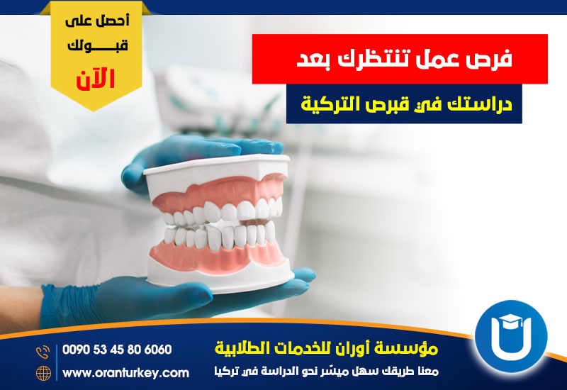 فرص عمل تنتظرك في قبرص التركية
