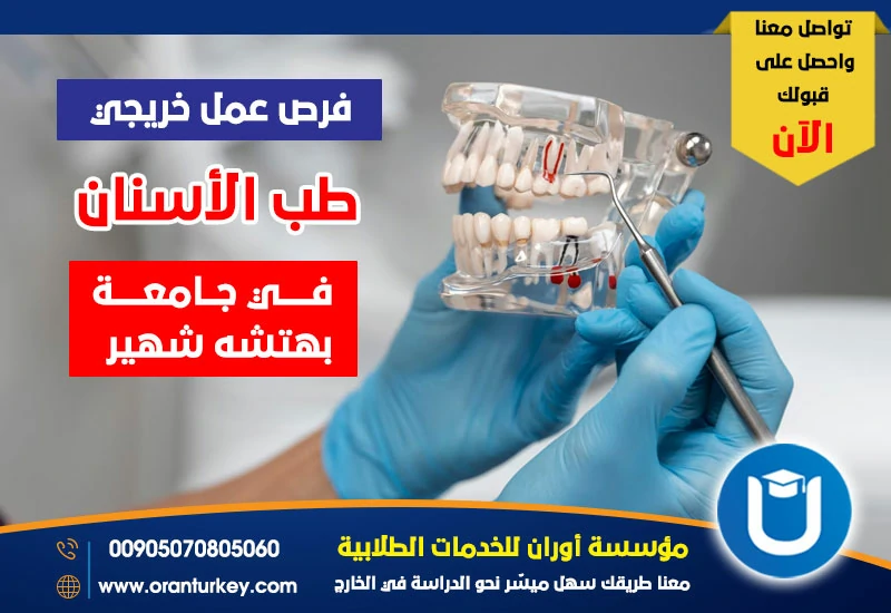 فرص عمل خريجي طب الأسنان